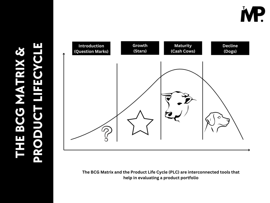 The BCG Matrix and Product Lifecycle