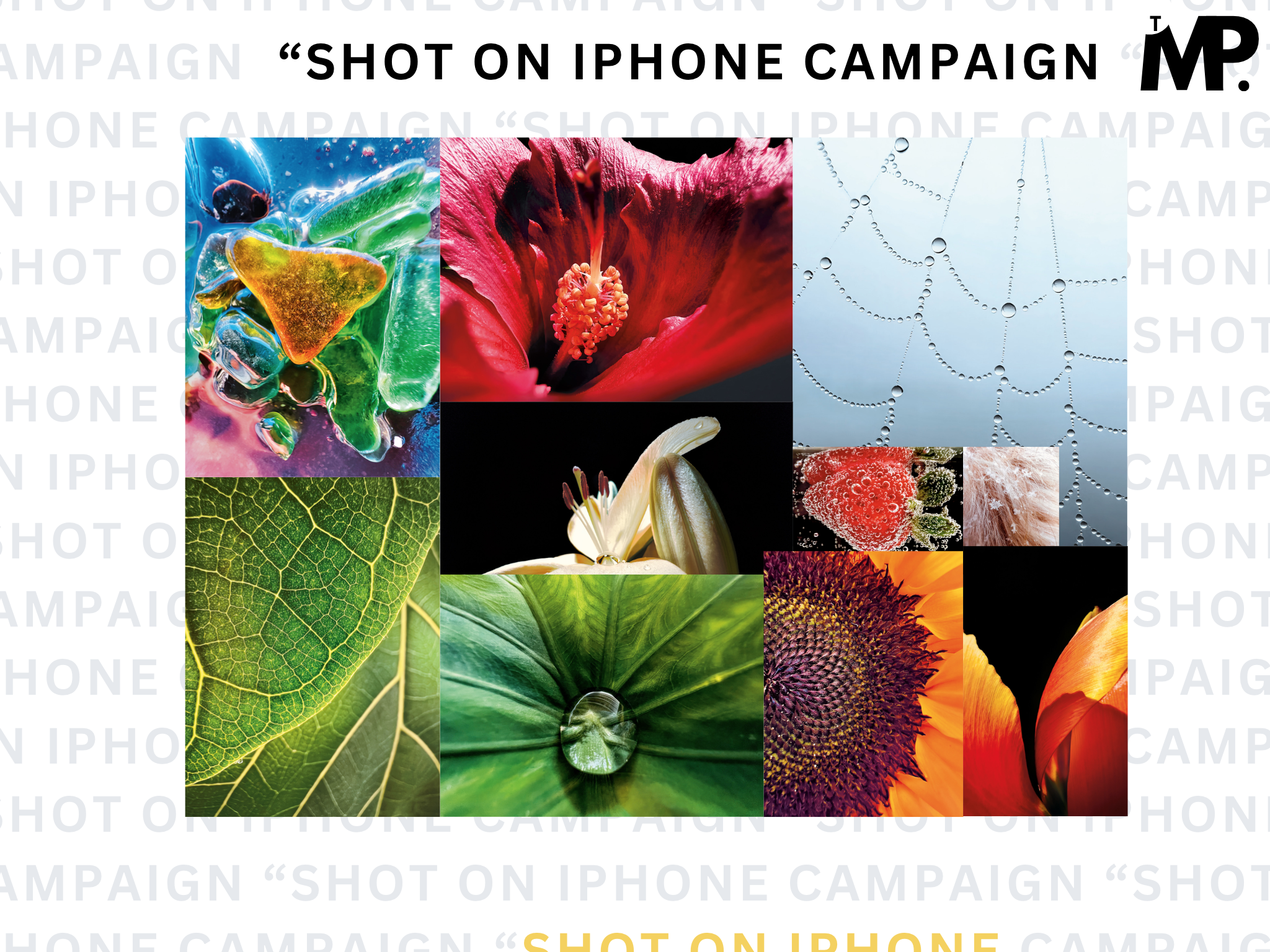 How Apple’s “Shot on iPhone” Used UGC to Dominate Photography?